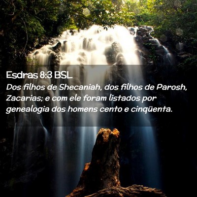 Picture 02 - Esdras 8:3 BSL - Dos filhos de Shecaniah, dos filhos de Parosh, - Bible Verse Picture
