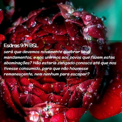 Picture 02 - Esdras 9:14 BSL - será que devemos novamente quebrar seus - Bible Verse Picture