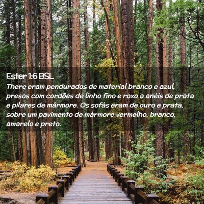Picture 02 - Ester 1:6 BSL - There eram pendurados de material branco e azul, - Bible Verse Picture