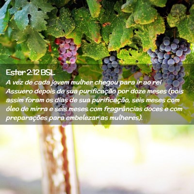 Picture 02 - Ester 2:12 BSL - A vez de cada jovem mulher chegou para ir ao rei - Bible Verse Picture