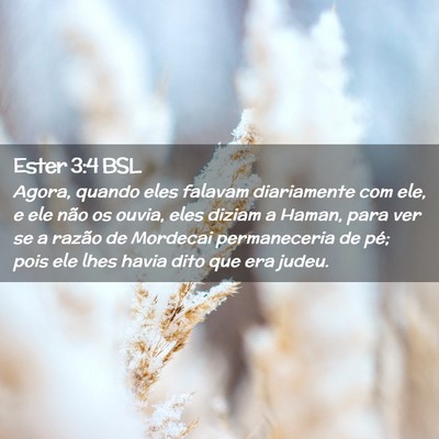 Picture 02 - Ester 3:4 BSL - Agora, quando eles falavam diariamente com ele, e - Bible Verse Picture