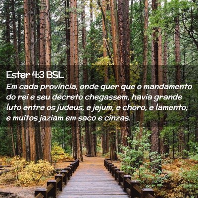 Picture 02 - Ester 4:3 BSL - Em cada província, onde quer que o mandamento do - Bible Verse Picture