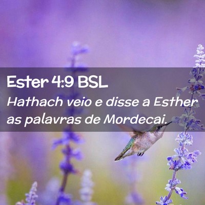 Picture 02 - Ester 4:9 BSL - Hathach veio e disse a Esther as palavras de - Bible Verse Picture