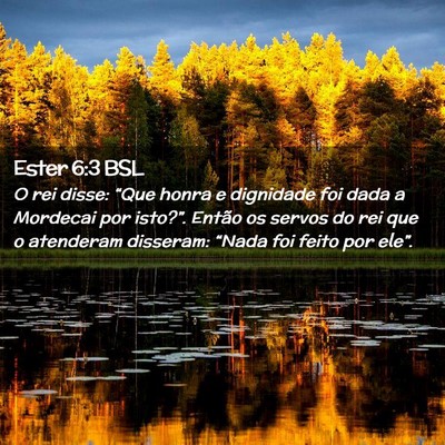 Picture 02 - Ester 6:3 BSL - O rei disse: “Que honra e dignidade foi dada a - Bible Verse Picture