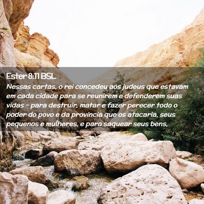 Picture 02 - Ester 8:11 BSL - Nessas cartas, o rei concedeu aos judeus que - Bible Verse Picture