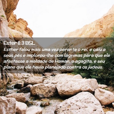 Picture 02 - Ester 8:3 BSL - Esther falou mais uma vez perante o rei, e caiu a - Bible Verse Picture
