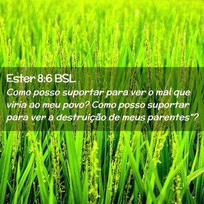 Picture 02 - Ester 8:6 BSL - Como posso suportar para ver o mal que viria ao - Bible Verse Picture