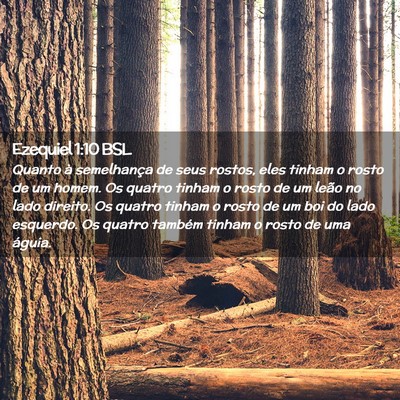 Picture 02 - Ezequiel 1:10 BSL - Quanto à semelhança de seus rostos, eles tinham - Bible Verse Picture