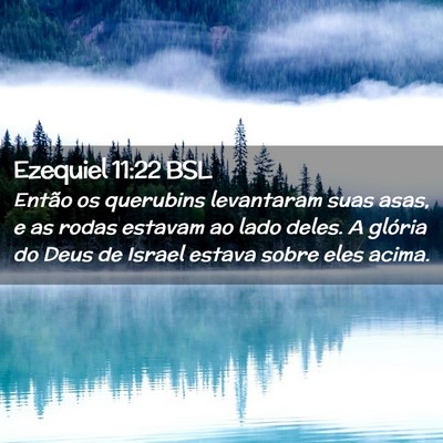 Picture 02 - Ezequiel 11:22 BSL - Então os querubins levantaram suas asas, e as - Bible Verse Picture