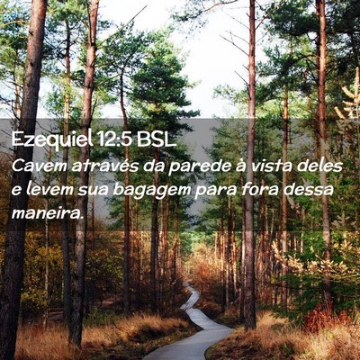 Picture 02 - Ezequiel 12:5 BSL - Cavem através da parede à vista deles e levem - Bible Verse Picture