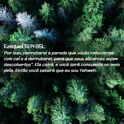Picture 02 - Ezequiel 13:14 BSL - Por isso, derrubarei a parede que vocês - Bible Verse Picture