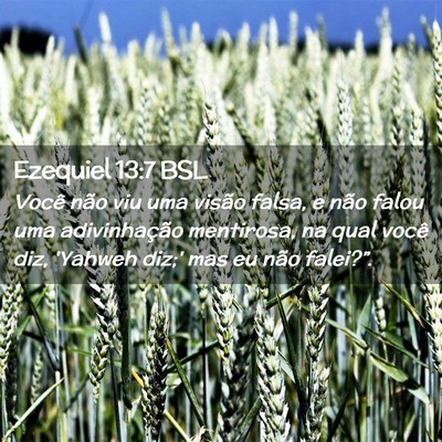 Picture 02 - Ezequiel 13:7 BSL - Você não viu uma visão falsa, e não falou uma - Bible Verse Picture