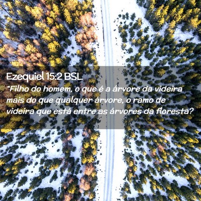 Picture 02 - Ezequiel 15:2 BSL - “Filho do homem, o que é a árvore da videira - Bible Verse Picture