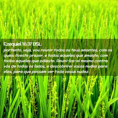 Picture 02 - Ezequiel 16:37 BSL - portanto, veja, vou reunir todos os teus amantes, - Bible Verse Picture