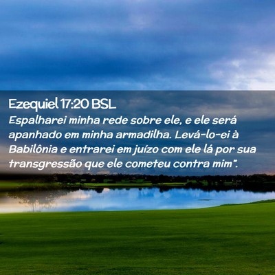 Picture 02 - Ezequiel 17:20 BSL - Espalharei minha rede sobre ele, e ele será - Bible Verse Picture