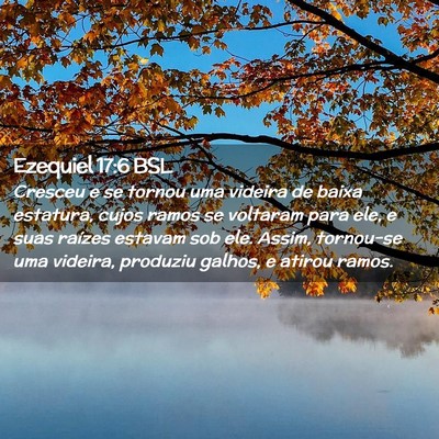 Picture 02 - Ezequiel 17:6 BSL - Cresceu e se tornou uma videira de baixa - Bible Verse Picture