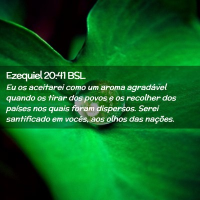 Picture 02 - Ezequiel 20:41 BSL - Eu os aceitarei como um aroma agradável quando - Bible Verse Picture