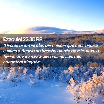 Picture 02 - Ezequiel 22:30 BSL - “Procurei entre eles um homem que construiria o - Bible Verse Picture