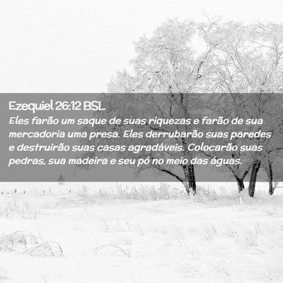 Picture 02 - Ezequiel 26:12 BSL - Eles farão um saque de suas riquezas e farão de - Bible Verse Picture