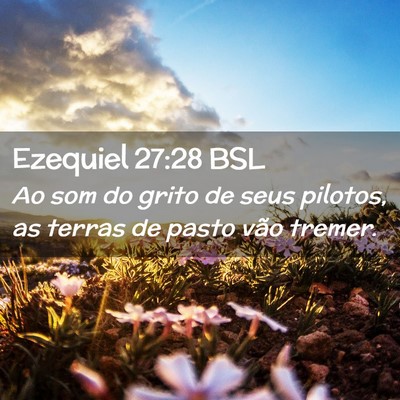 Picture 02 - Ezequiel 27:28 BSL - Ao som do grito de seus pilotos, as terras de - Bible Verse Picture
