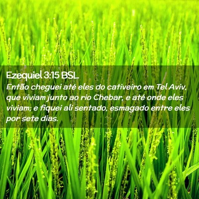 Picture 02 - Ezequiel 3:15 BSL - Então cheguei até eles do cativeiro em Tel - Bible Verse Picture