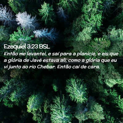 Picture 02 - Ezequiel 3:23 BSL - Então me levantei, e saí para a planície, e - Bible Verse Picture