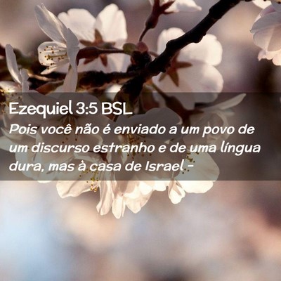 Picture 02 - Ezequiel 3:5 BSL - Pois você não é enviado a um povo de um - Bible Verse Picture