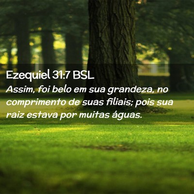 Picture 02 - Ezequiel 31:7 BSL - Assim, foi belo em sua grandeza, no comprimento - Bible Verse Picture