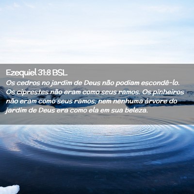 Picture 02 - Ezequiel 31:8 BSL - Os cedros no jardim de Deus não podiam - Bible Verse Picture