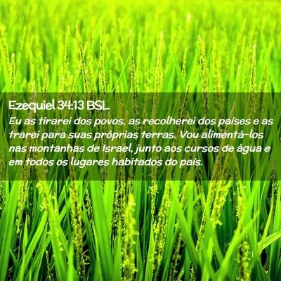 Picture 02 - Ezequiel 34:13 BSL - Eu as tirarei dos povos, as recolherei dos - Bible Verse Picture
