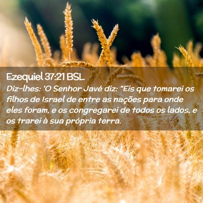 Picture 02 - Ezequiel 37:21 BSL - Diz-lhes: 'O Senhor Javé diz: “Eis que tomarei - Bible Verse Picture