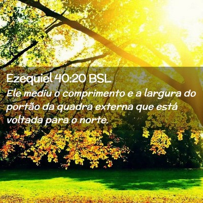 Picture 02 - Ezequiel 40:20 BSL - Ele mediu o comprimento e a largura do portão da - Bible Verse Picture