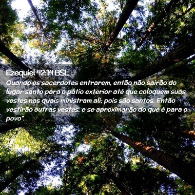 Picture 02 - Ezequiel 42:14 BSL - Quando os sacerdotes entrarem, então não - Bible Verse Picture