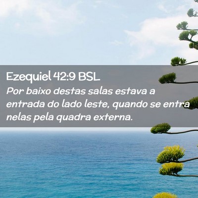 Picture 02 - Ezequiel 42:9 BSL - Por baixo destas salas estava a entrada do lado - Bible Verse Picture