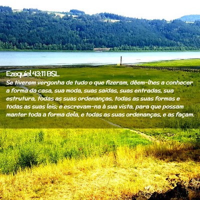 Picture 02 - Ezequiel 43:11 BSL - Se tiverem vergonha de tudo o que fizeram, - Bible Verse Picture