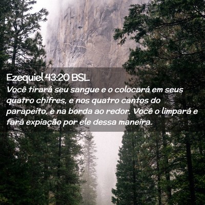 Picture 02 - Ezequiel 43:20 BSL - Você tirará seu sangue e o colocará em seus - Bible Verse Picture