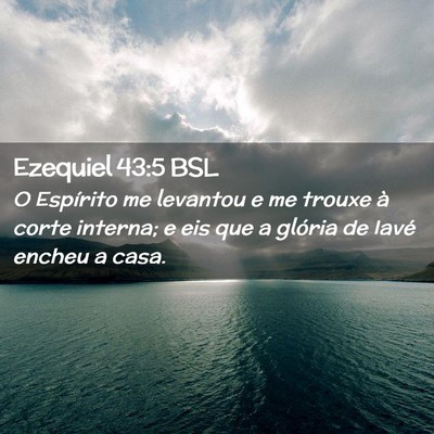 Picture 02 - Ezequiel 43:5 BSL - O Espírito me levantou e me trouxe à corte - Bible Verse Picture