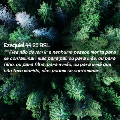 Picture 02 - Ezequiel 44:25 BSL - “““Eles não devem ir a nenhuma pessoa - Bible Verse Picture