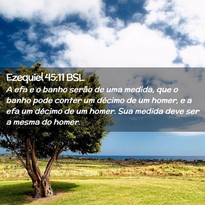 Picture 02 - Ezequiel 45:11 BSL - A efa e o banho serão de uma medida, que o banho - Bible Verse Picture