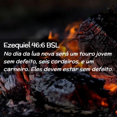 Picture 02 - Ezequiel 46:6 BSL - No dia da lua nova será um touro jovem sem - Bible Verse Picture