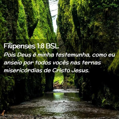 Picture 02 - Filipenses 1:8 BSL - Pois Deus é minha testemunha, como eu anseio por - Bible Verse Picture