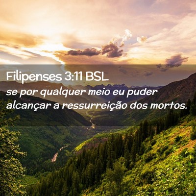 Picture 02 - Filipenses 3:11 BSL - se por qualquer meio eu puder alcançar a - Bible Verse Picture