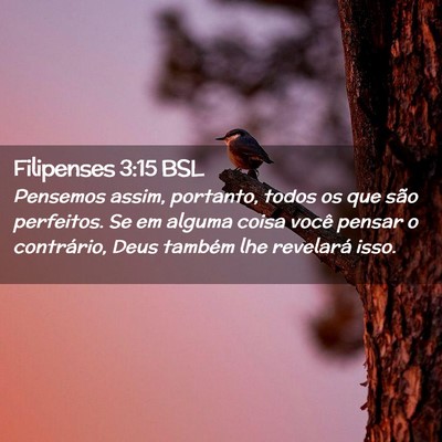 Picture 02 - Filipenses 3:15 BSL - Pensemos assim, portanto, todos os que são - Bible Verse Picture