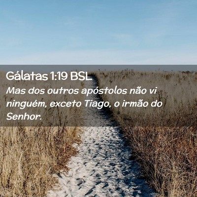 Picture 02 - Gálatas 1:19 BSL - Mas dos outros apóstolos não vi ninguém, - Bible Verse Picture