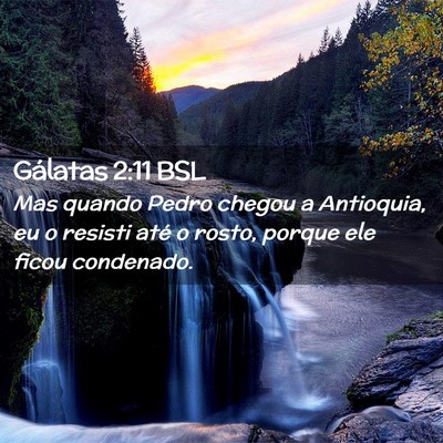 Picture 02 - Gálatas 2:11 BSL - Mas quando Pedro chegou a Antioquia, eu o resisti - Bible Verse Picture