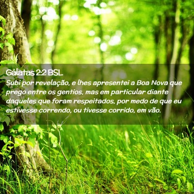 Picture 02 - Gálatas 2:2 BSL - Subi por revelação, e lhes apresentei a Boa - Bible Verse Picture