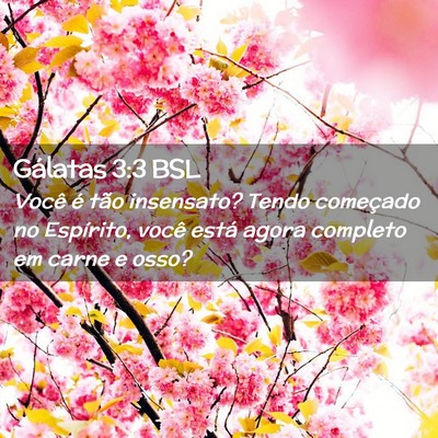 Picture 02 - Gálatas 3:3 BSL - Você é tão insensato? Tendo começado no - Bible Verse Picture