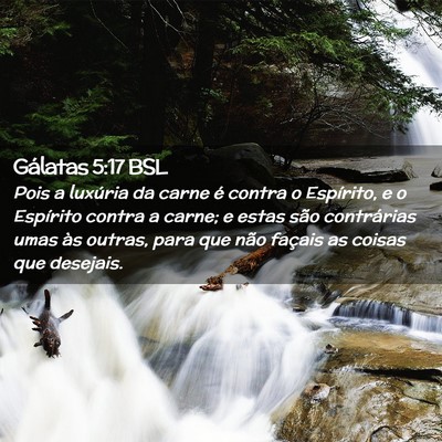 Picture 02 - Gálatas 5:17 BSL - Pois a luxúria da carne é contra o Espírito, e - Bible Verse Picture