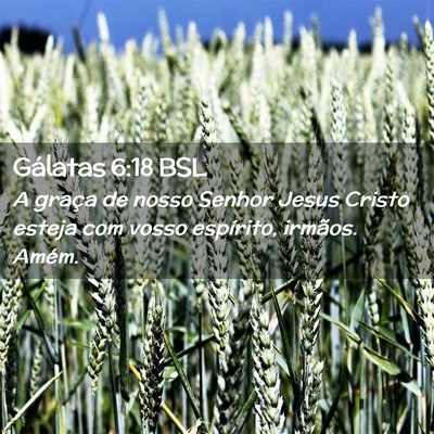 Picture 02 - Gálatas 6:18 BSL - A graça de nosso Senhor Jesus Cristo esteja com - Bible Verse Picture