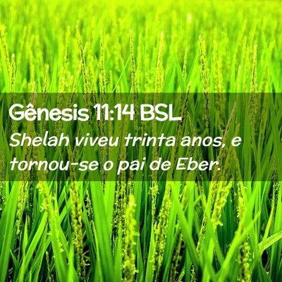Picture 02 - Gênesis 11:14 BSL - Shelah viveu trinta anos, e tornou-se o pai de - Bible Verse Picture